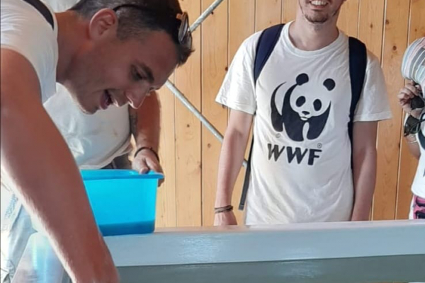 campi-wwf-2021-551B1DFE0-5AEB-98C3-F1D3-500CAE11CF10.jpeg