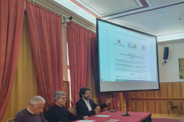 protocollo-alberghiero-1396228DD-CC8D-3ED9-E4C2-C430B654426B.jpeg