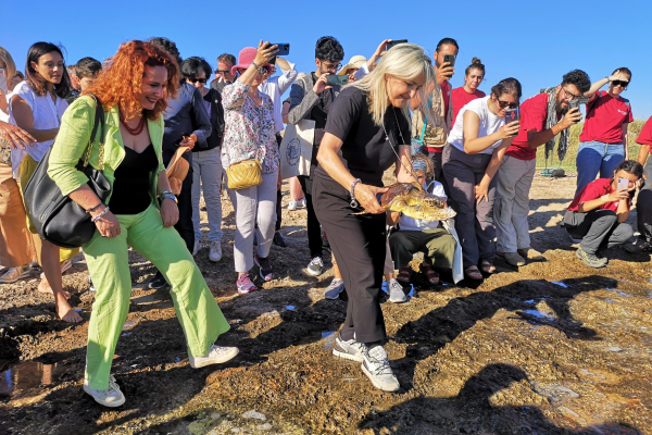 archeo-20D179C06B-4730-860A-667E-8EA3EADAC34F.jpg