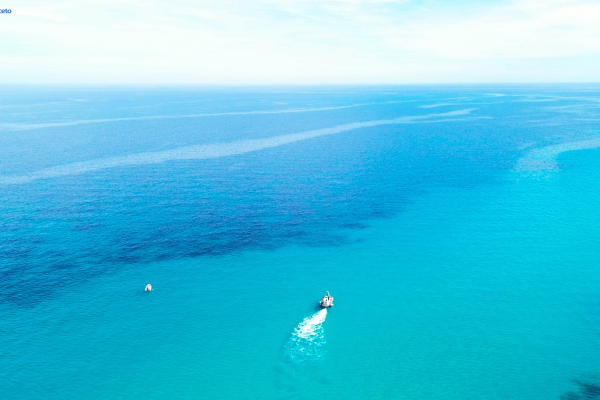 dji-0490263DC7EA-E709-AEA6-6BCA-BE97EE5D4DC5.jpg