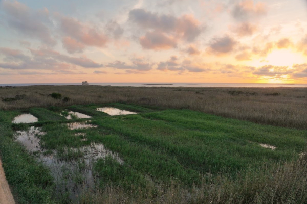 dji-20241016071337-0009-vAD4FAA1C-C999-BBB5-52DD-00F22B67CD1E.jpg