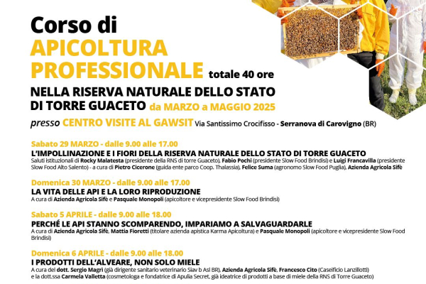 corso-api-3FE8AFA52-793A-F473-0409-1E582F4D24F6.jpeg