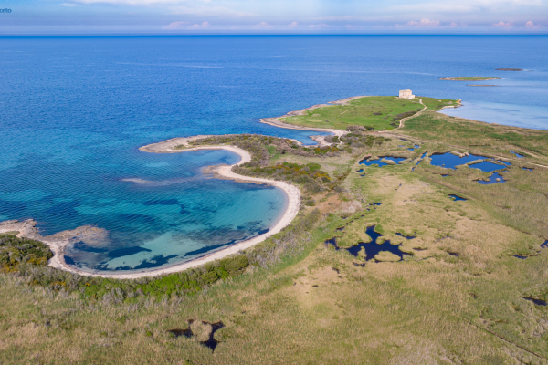 dji-0515m00808D52-EE25-E5A9-0E5F-3FD839BB109C.jpg