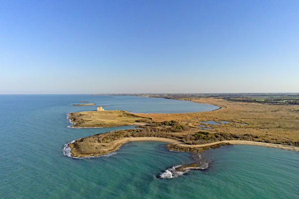 torre-x7839547C-3FAA-696E-6505-2B8F054C3791.jpg