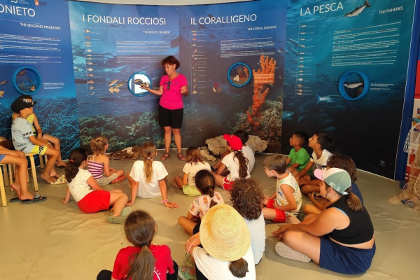 img-20250627-0937358D7D4E9F-7A15-0827-0F52-A53AC025B48C.jpg