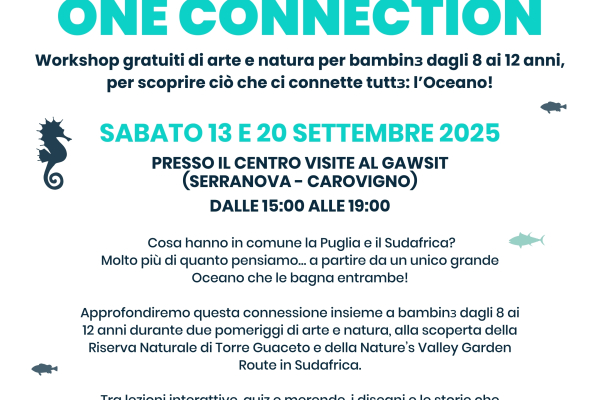locandina-one-ocean-one-connection-finalF0A96979-8944-3F86-280F-D09701FAE4E5.jpg
