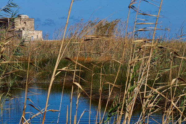 torre-e-chiaro-d-acqua-meglio7C29524B-CE5D-67C7-3055-DDBB8AF79C5F.jpg