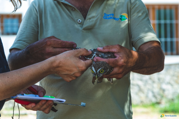 centro-recupero-fauna-selvatica-torre-guaceto-361EF8C7E-804E-D850-D254-38EC4D4B889E.jpg