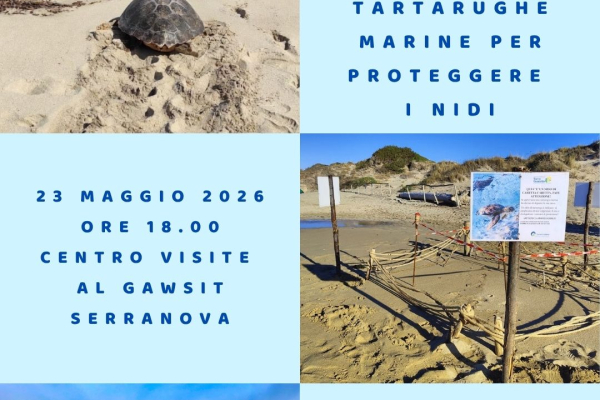 23-maggio-evento-tartarughe81D475F5-B718-4EEE-0DEC-A33C0EE8E2C5.jpg