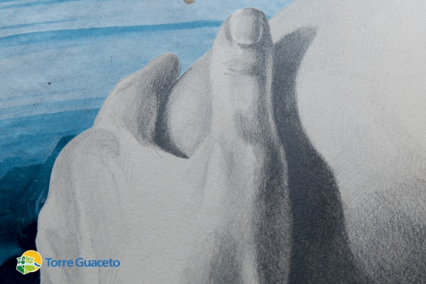 quel-che-resta-e-il-ciano-mostra-di-giuseppe-ciraci-organizzata-dal-consorzio-di-gestione-di-torre-guaceto-11DF8E45DA-C293-074F-1B4D-3237C5F020C8.jpg