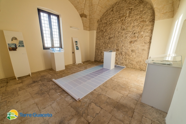 quel-che-resta-e-il-ciano-mostra-di-giuseppe-ciraci-organizzata-dal-consorzio-di-gestione-di-torre-guaceto-132BEE96E3-E56D-36B9-E0E8-97D6C6CA1341.jpg