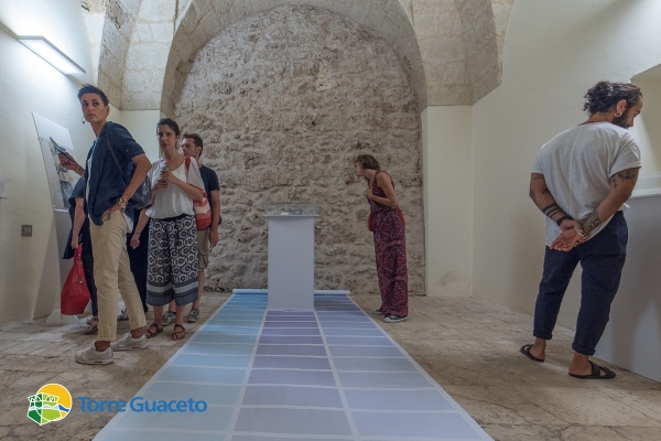 quel-che-resta-e-il-ciano-mostra-di-giuseppe-ciraci-organizzata-dal-consorzio-di-gestione-di-torre-guaceto-209E954C51-3EAA-E249-6A91-94DF982D9399.jpg