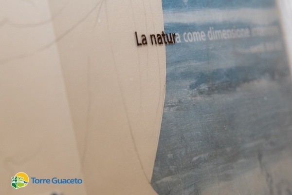 quel-che-resta-e-il-ciano-mostra-di-giuseppe-ciraci-organizzata-dal-consorzio-di-gestione-di-torre-guaceto-36155F0FB-2AC0-419D-0B05-AF3AE205FDBE.jpg