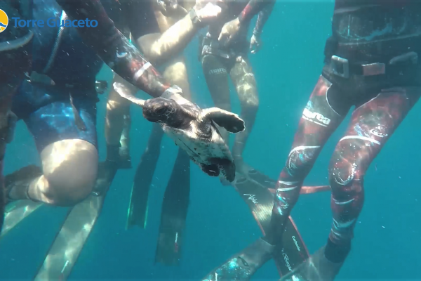 passione-apnea-a-torre-guaceto3EB4C9DC1-0357-CB79-42A8-AC04B0374108.png