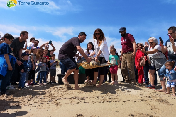img-20190525-1039532BAC139A-5945-E1BE-5A1C-81724B06ECBD.jpg