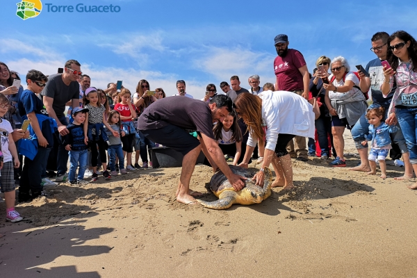 img-20190525-103954-1951071B5-C7A2-565E-5560-799AFA7AEF2C.jpg