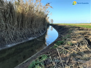 Approvato il documento strategico per la rinascita del canale Reale