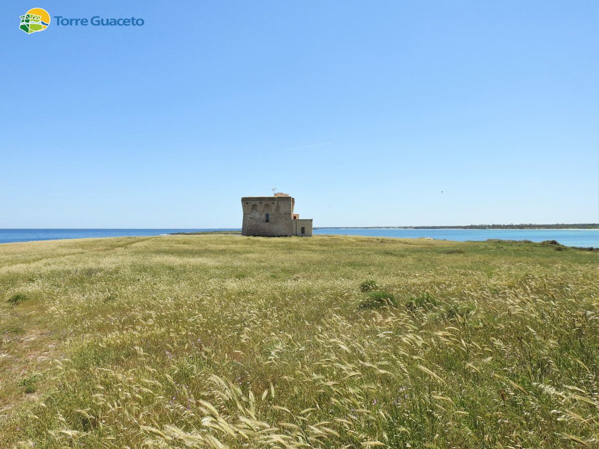 Abbattuta casa abusiva all’interno della riserva di Torre Guaceto