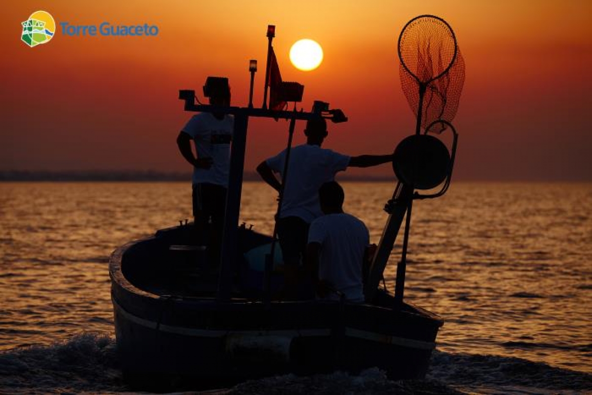 Torre Guaceto: stop alla pesca per un mese per la tutela della riserva