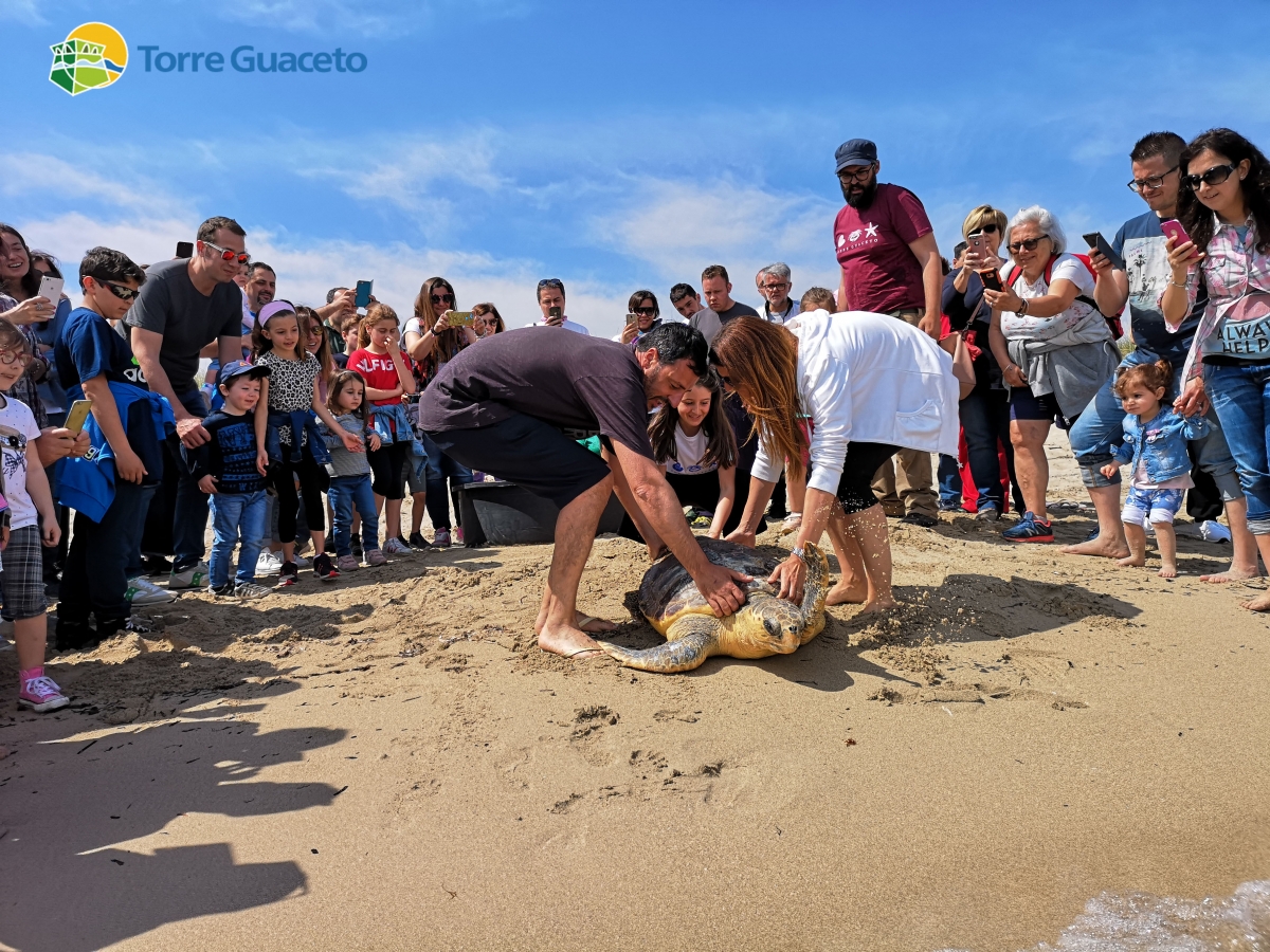 La storia della tartaruga Giorgia: quasi uccisa dalla pesca a strascico e salvata da una bambina