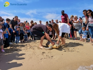 La storia della tartaruga Giorgia: quasi uccisa dalla pesca a strascico e salvata da una bambina