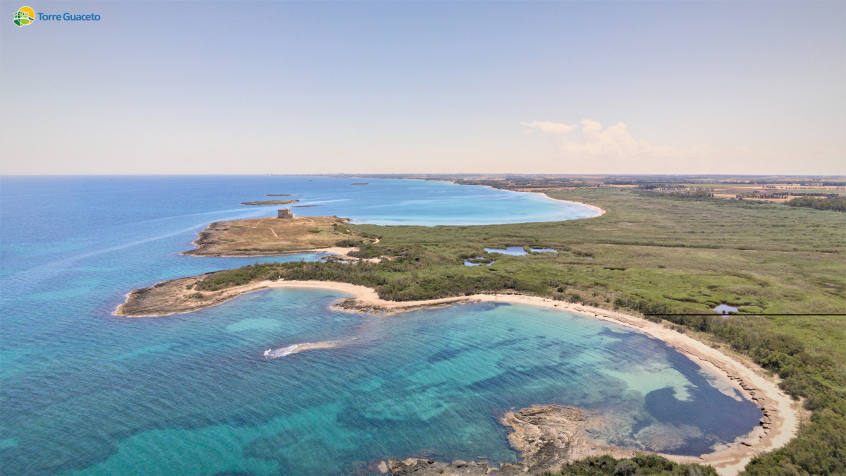 Stop alla pesca per un anno: a Torre Guaceto il progetto pilota