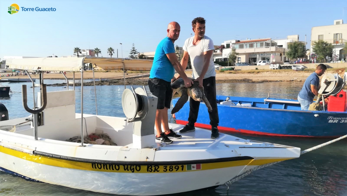 Pescatori di Torre Guaceto salvano tartaruga stretta nella plastica
