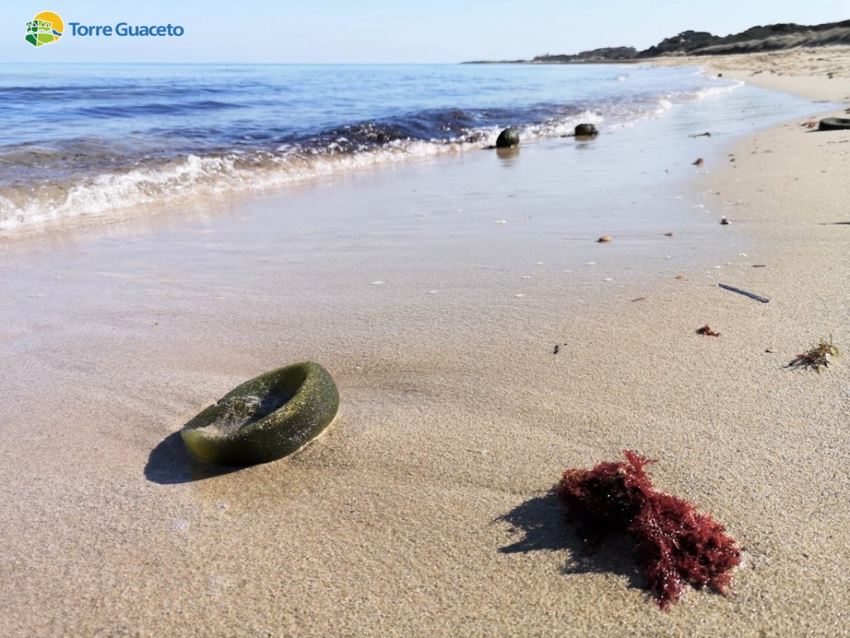 Conoscere ciò che si vede a Torre Guaceto: i doni del mare