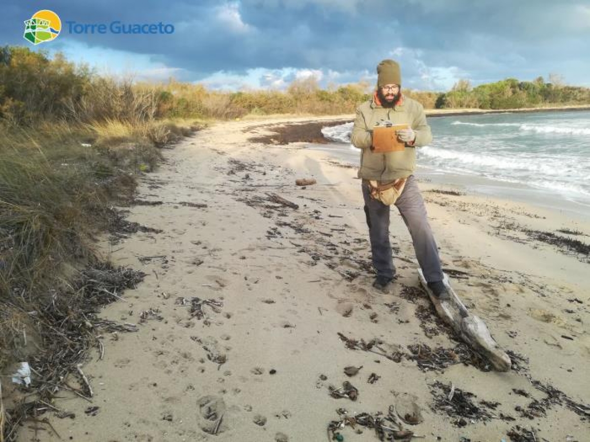 Abbiamo vinto: i cotton fioc in plastica che deturpano le nostre spiagge non potranno più essere venduti
