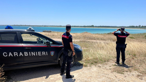 Tolleranza zero per chi mette Torre Guaceto in pericolo: squadre di carabinieri, Gev e Arif pattugliano la riserva