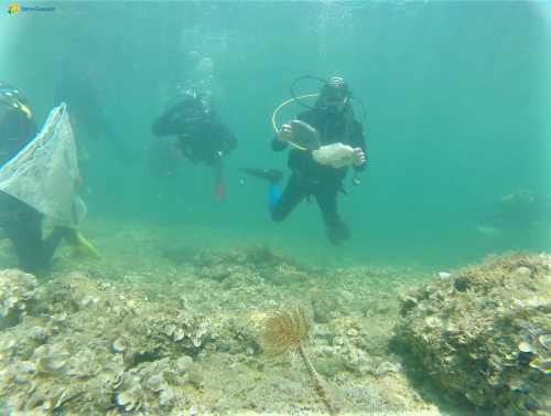 Sub uniti per Torre Guaceto: l’impegno per la pulizia dei fondali