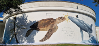 Dalla riserva in Puglia a quella in Sudafrica: inaugurato a Torre Guaceto il primo progetto al mondo di murales oceanici gemelli