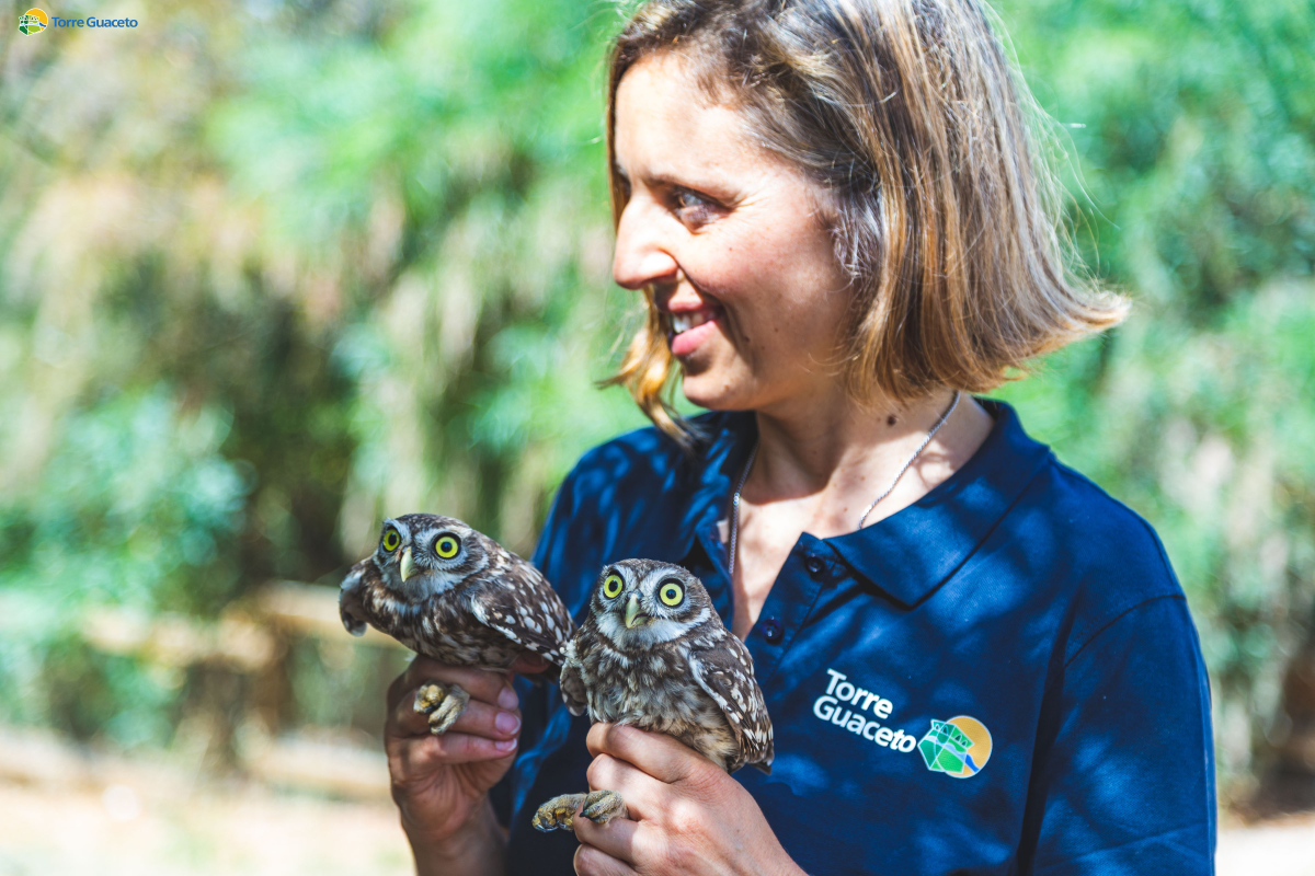 Report del centro recupero fauna selvatica di Torre Guaceto: soccorsi 145 animali in un anno