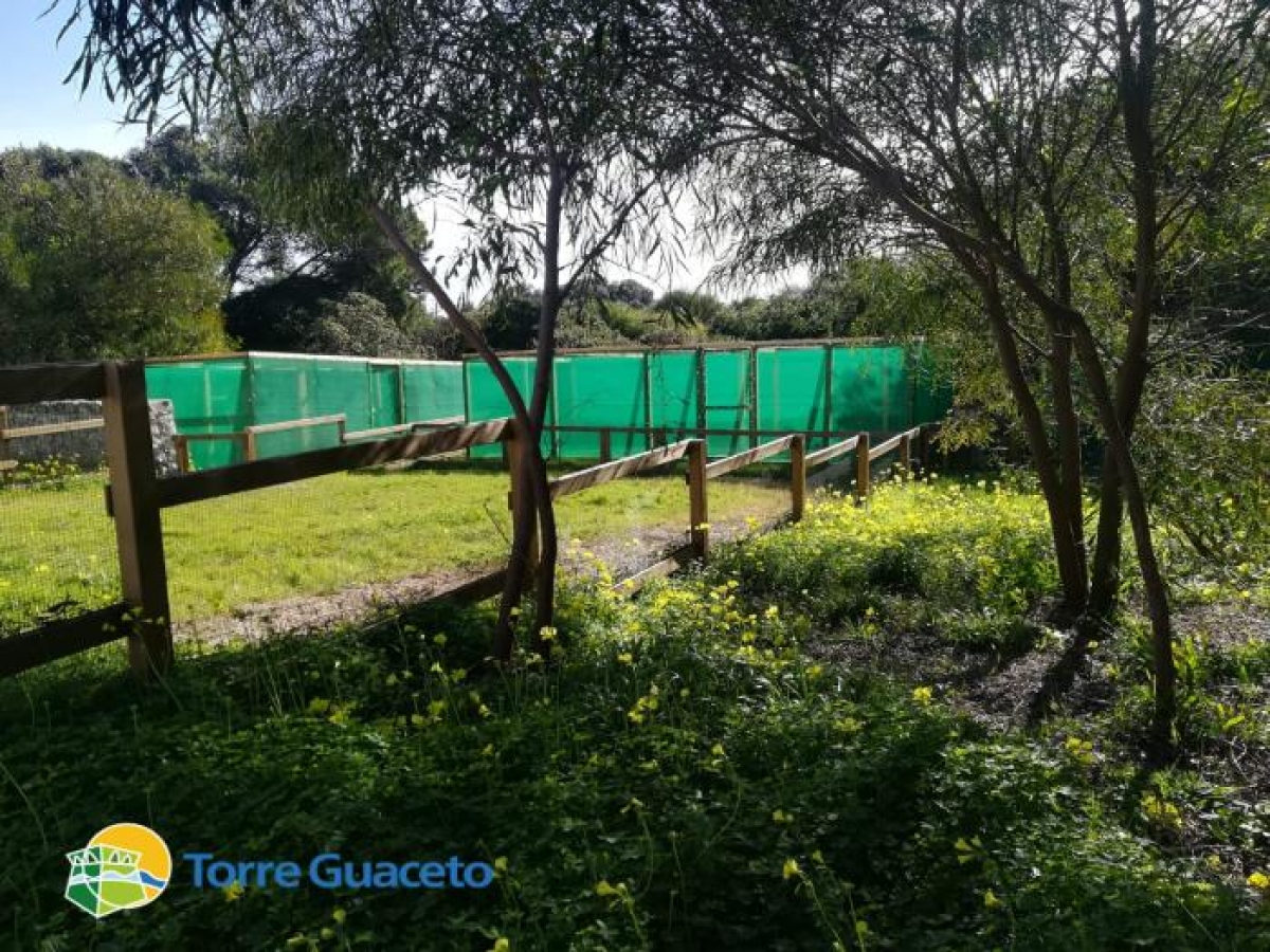 A Torre Guaceto il nuovo centro recupero per la fauna selvatica