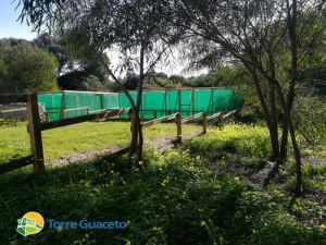 A Torre Guaceto il nuovo centro recupero per la fauna selvatica