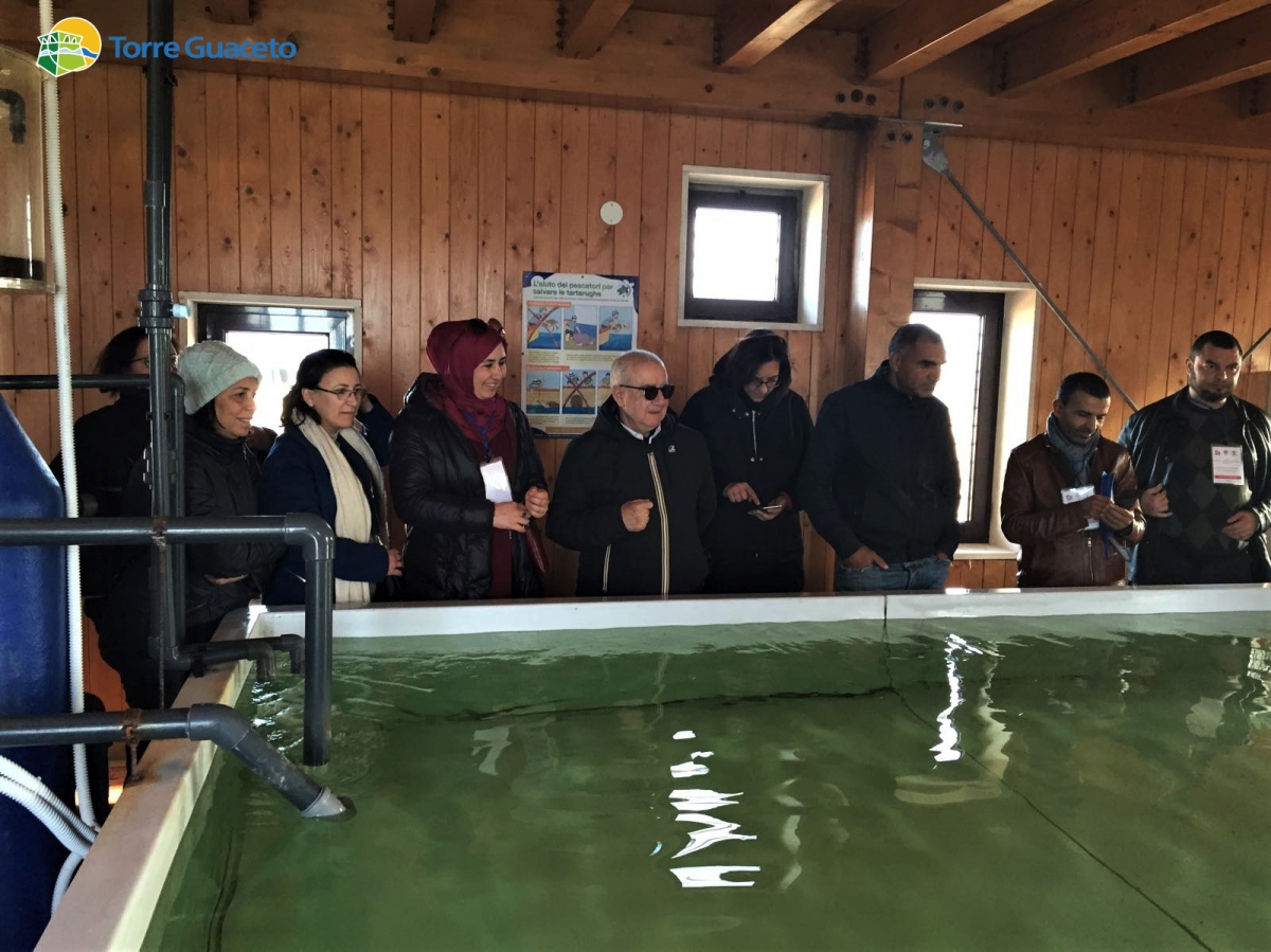 Modello di tutela e promozione made in Torre Guaceto: delegazione tunisina in visita nella Riserva