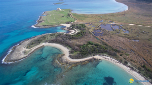 Al via gli studi fuori i confini di Torre Guaceto per proteggere più territorio