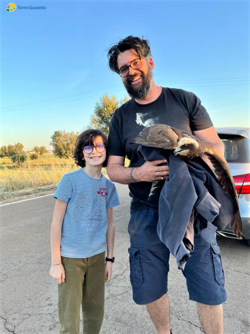Un bambino avvista un falco in difficoltà e chiama Torre Guaceto: la storia di Al Gawsit, Marco ed il "ranger" Andrea