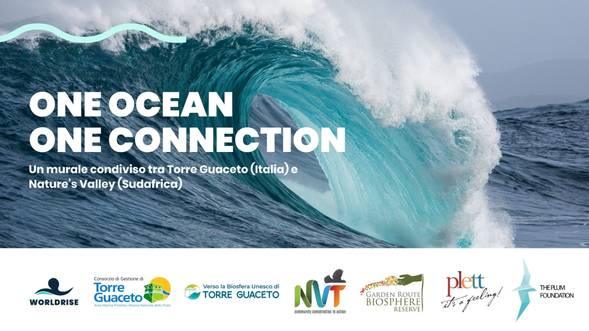 One Ocean – One Connection: aperte le candidature per l’artista che realizzerà il murale italiano a Torre Guaceto