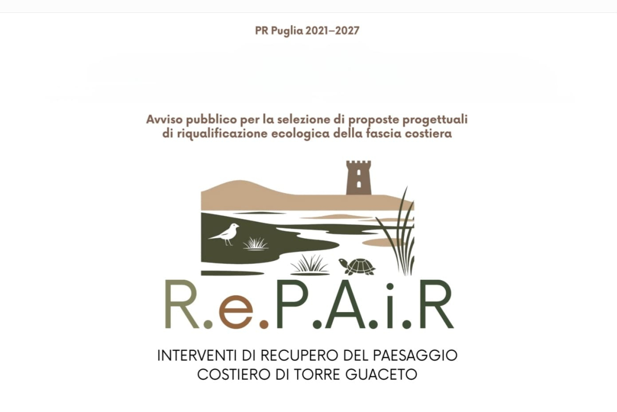 Progettiamo insieme la rinascita della costa: lunedì 16 giugno incontro pubblico al centro visite di Torre Guaceto