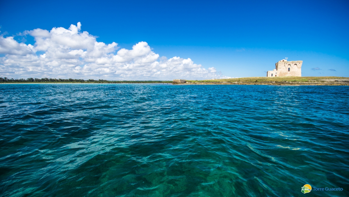 In arrivo nuove azioni per Torre Guaceto grazie agli utenti della riserva