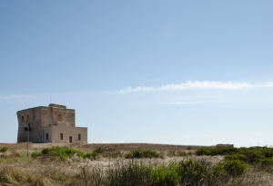 Torre Guaceto chiama a raccolta le associazioni per la presentazione di un progetto